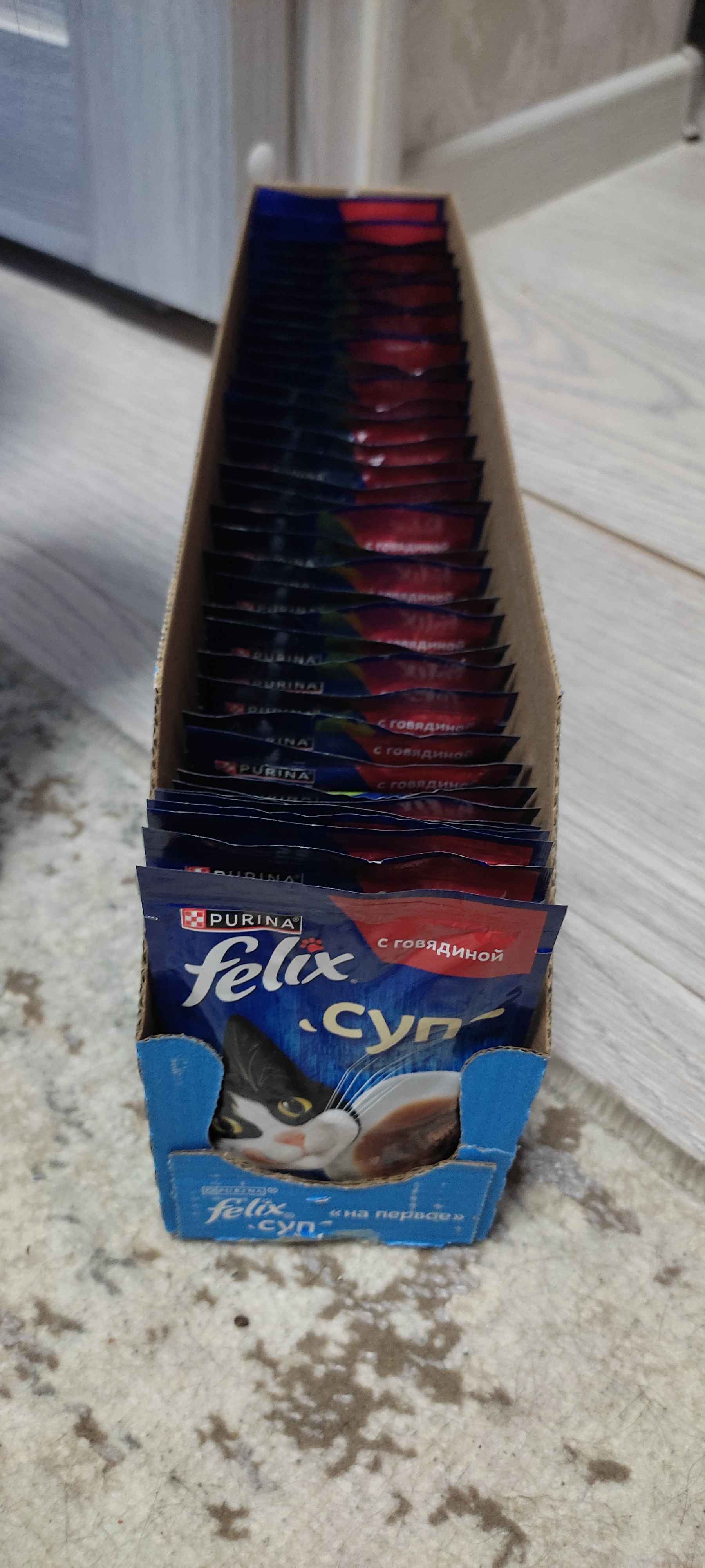 Gey porno videolarni tomosha qiling