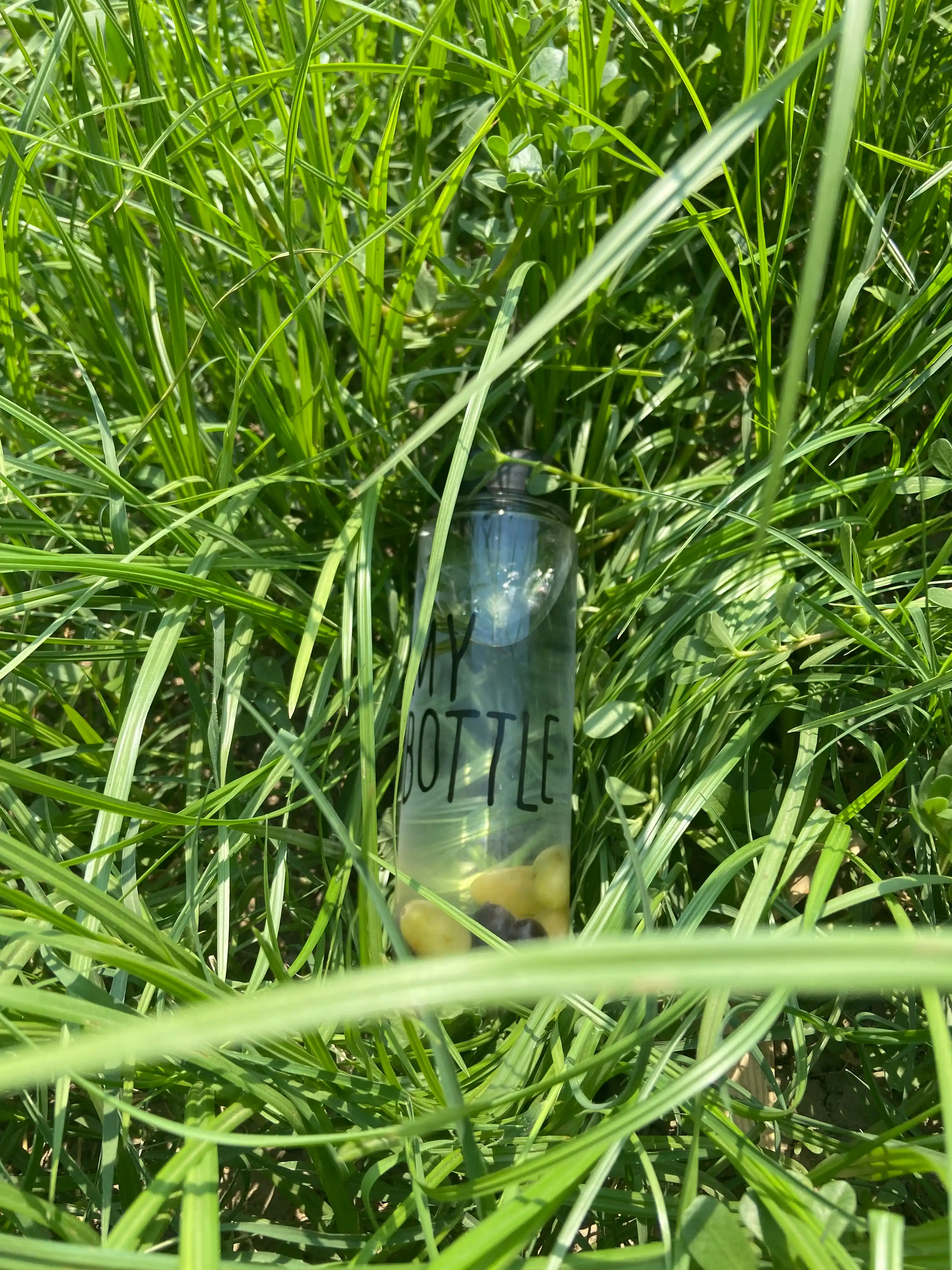 Mat plastikdan tayyorlangan ayiqli rasmli shisha, 1000 ml