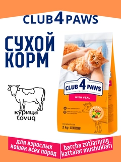 Вишнёвый