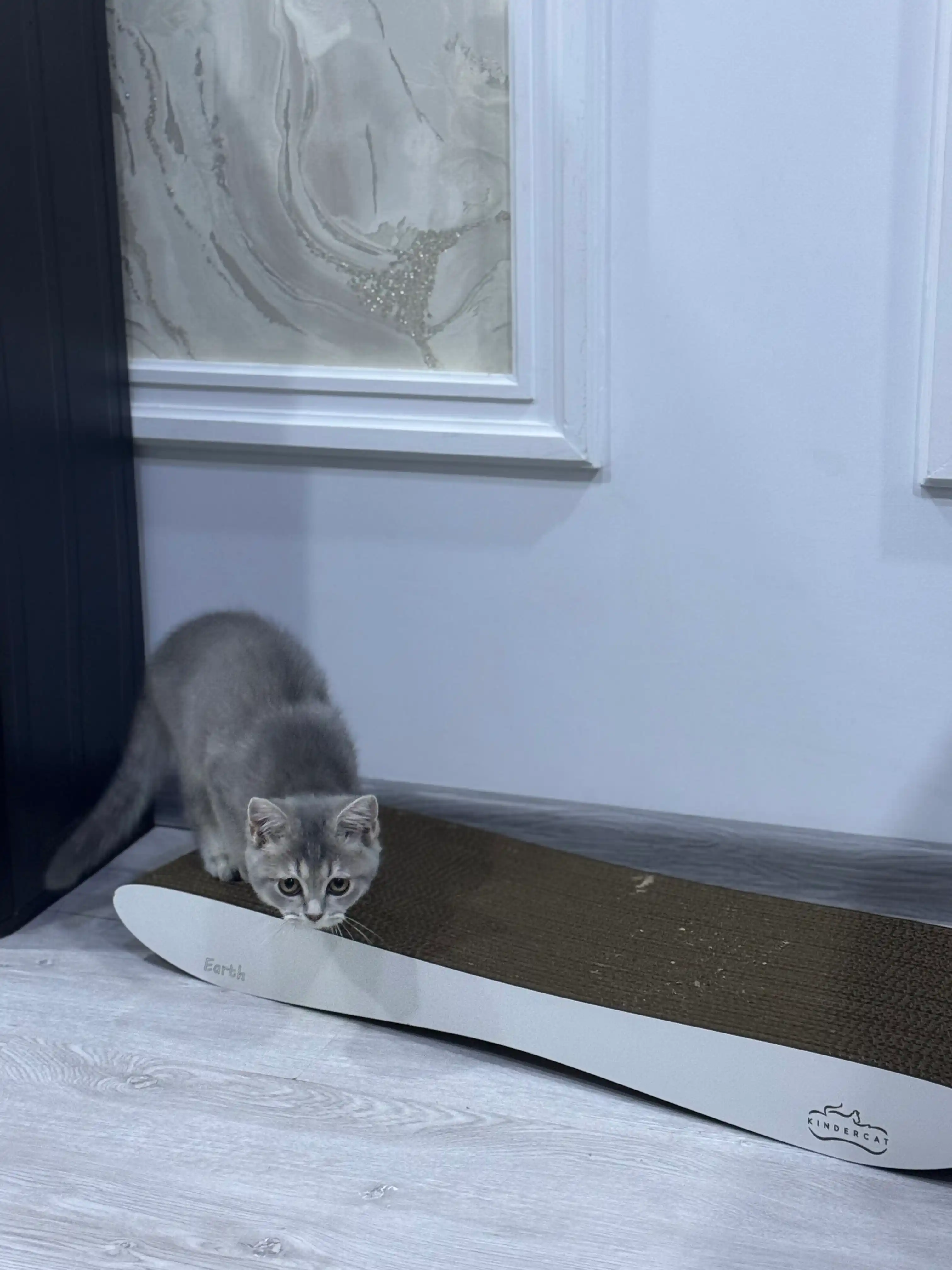 Mushuklar va mushukchalar uchun "KinderCat Earth" karton tirnoqchasi