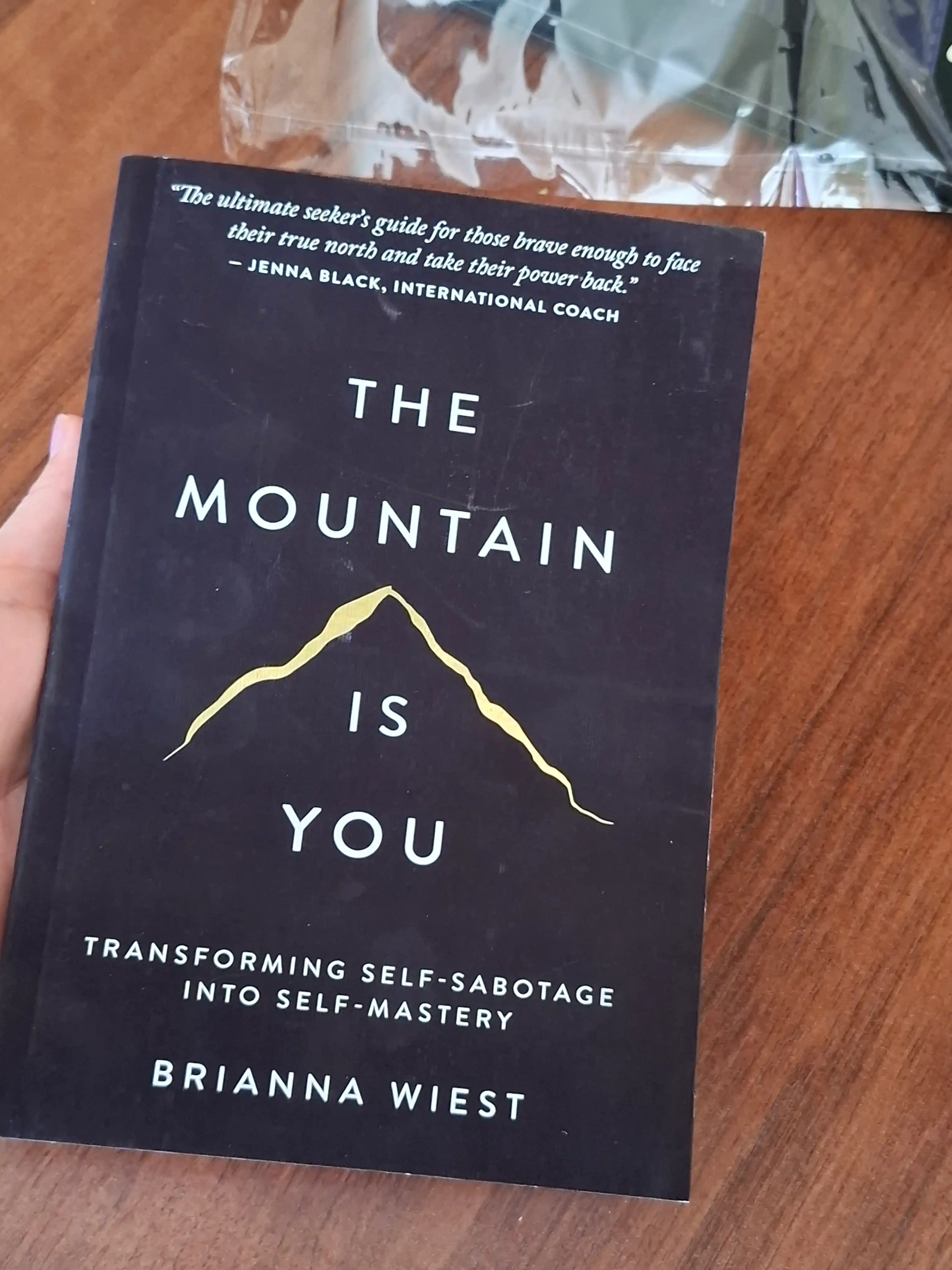 The Mountain Is You Brianna wiest