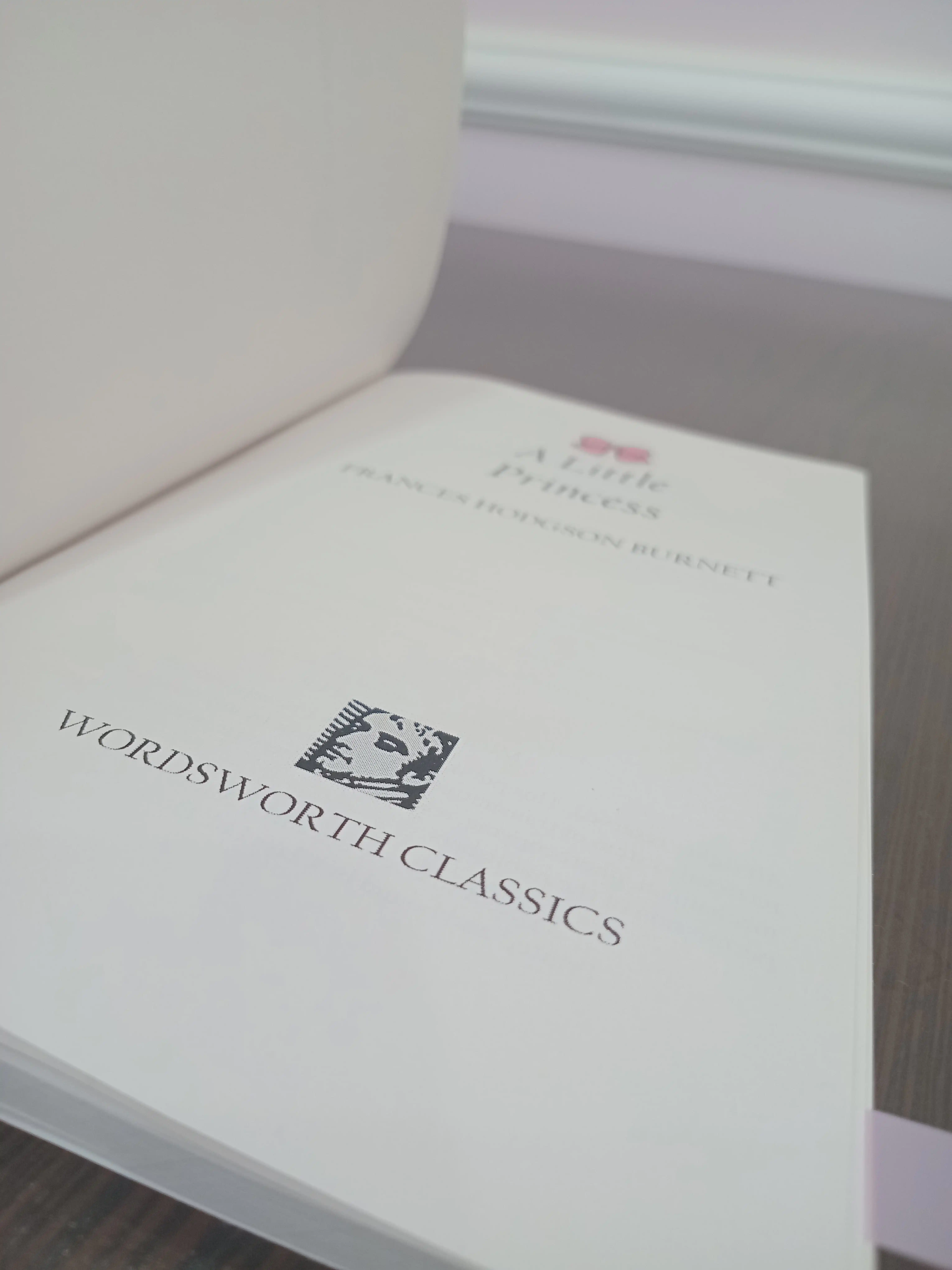 Frances Hodgson Burnett. A little Princess (eng)