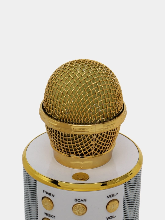 Simsiz karaoke mikrofoni, Bluetooth karaoke mikrofoni sifatida ham tanilgan