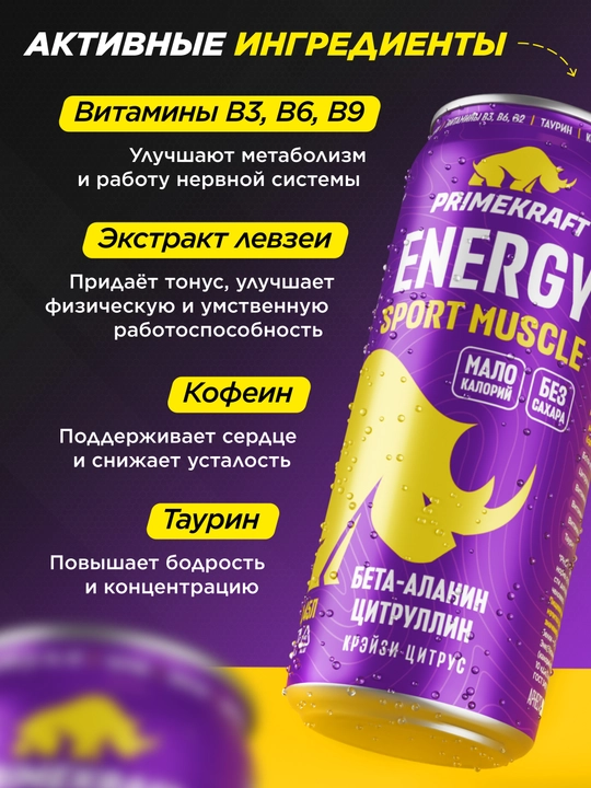 Primekraft Energy Sport Power energetik ichimligi, 450 ml, 1 dona