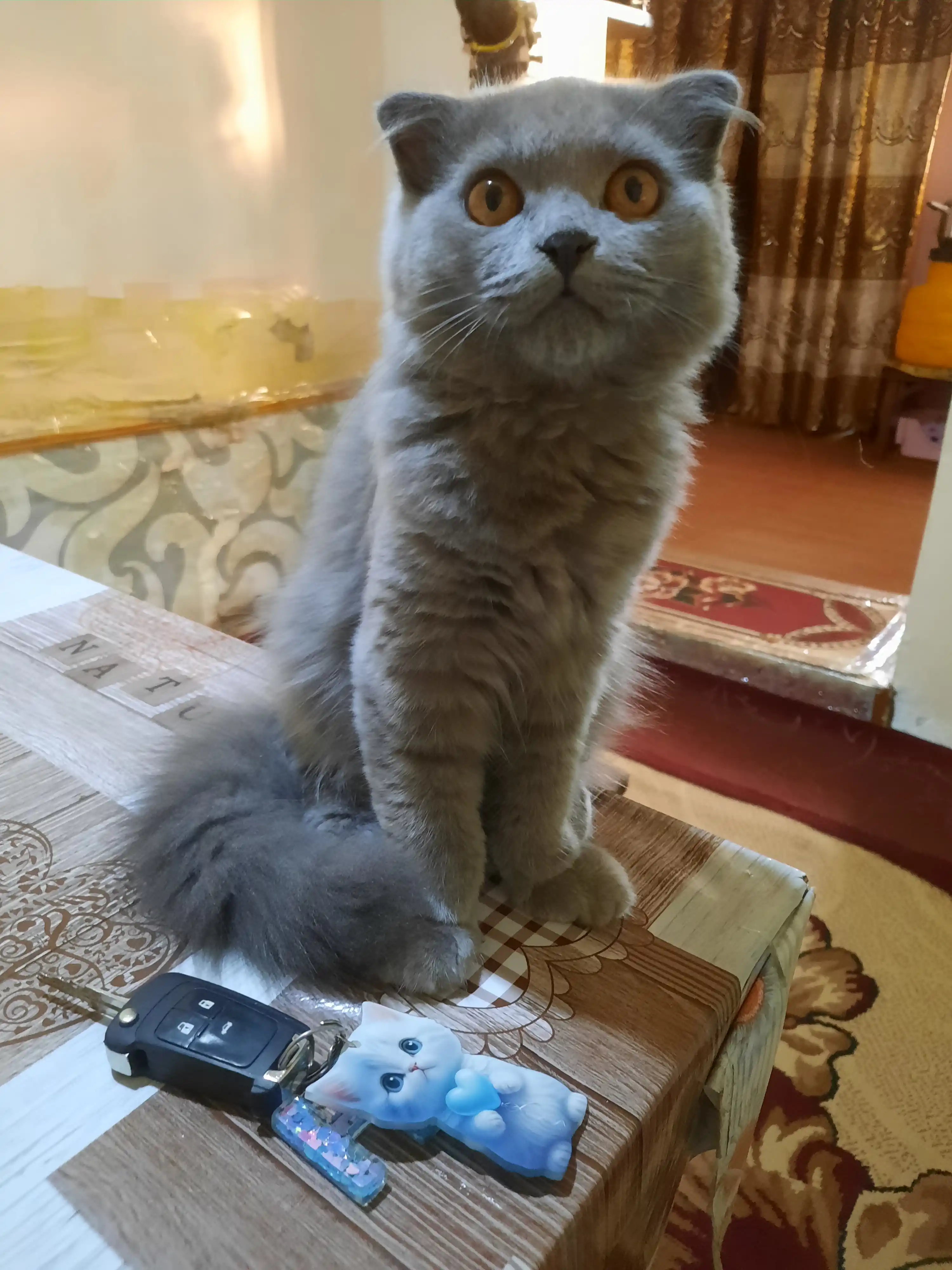 Брелок для ключей в виде кота