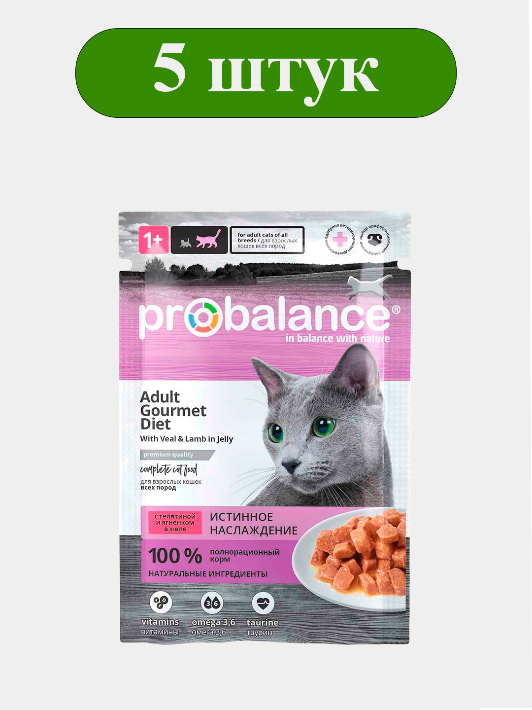 Paypoq kiygan shahvoniy Jeyn