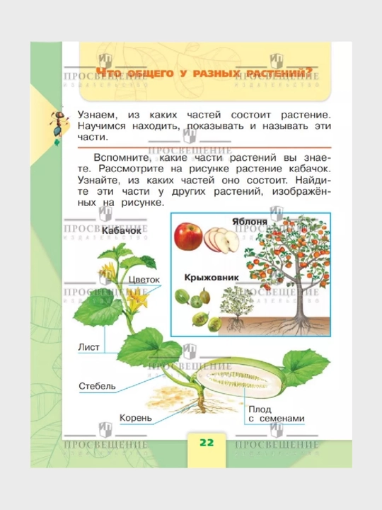 Окружающий МИР 1-2-3-4 класс А.А Плешаков