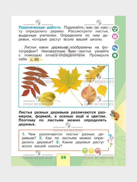 Окружающий МИР 1-2-3-4 класс А.А Плешаков