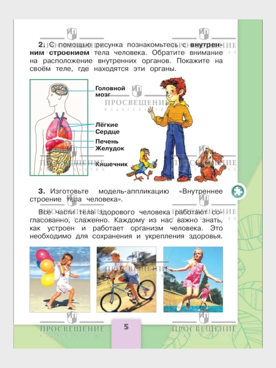 Окружающий МИР 1-2-3-4 класс А.А Плешаков