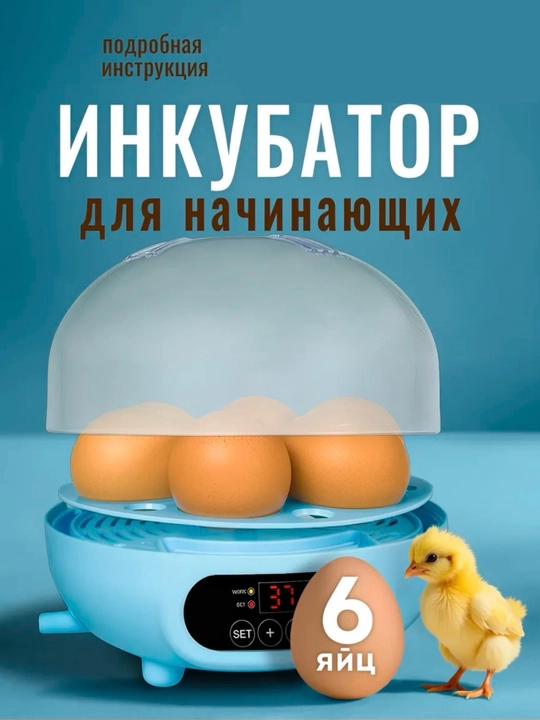 Инкубатор для 6 яиц автоматический , работает от  220В - 