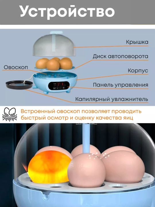 Инкубатор для 6 яиц автоматический , работает от  220В