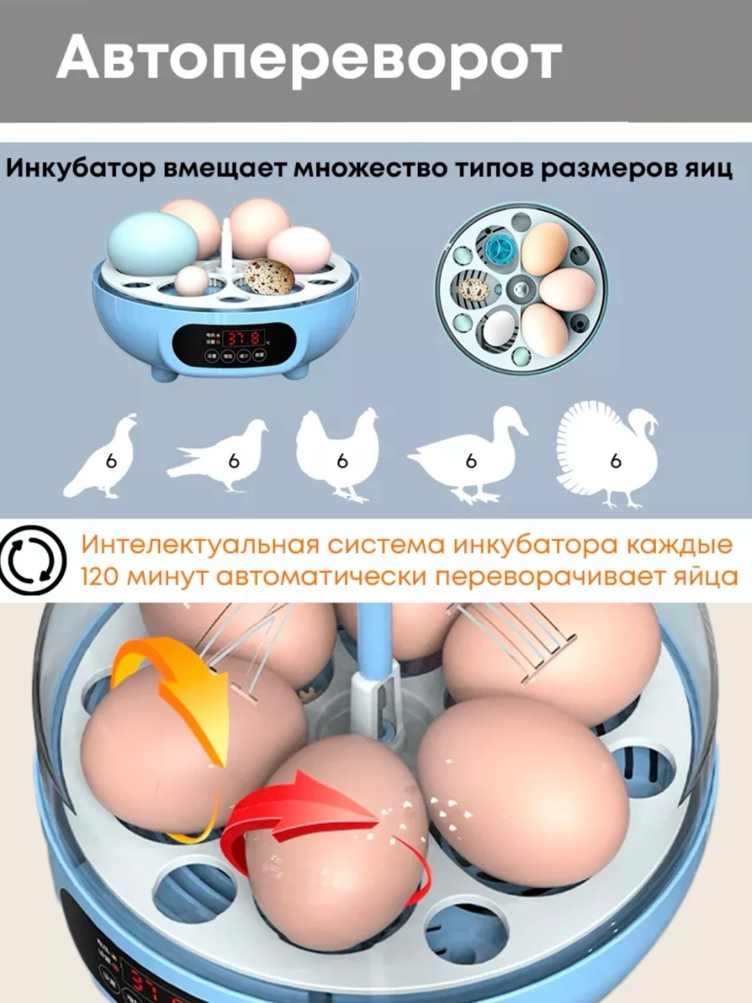 Инкубатор для 6 яиц автоматический , работает от  220В