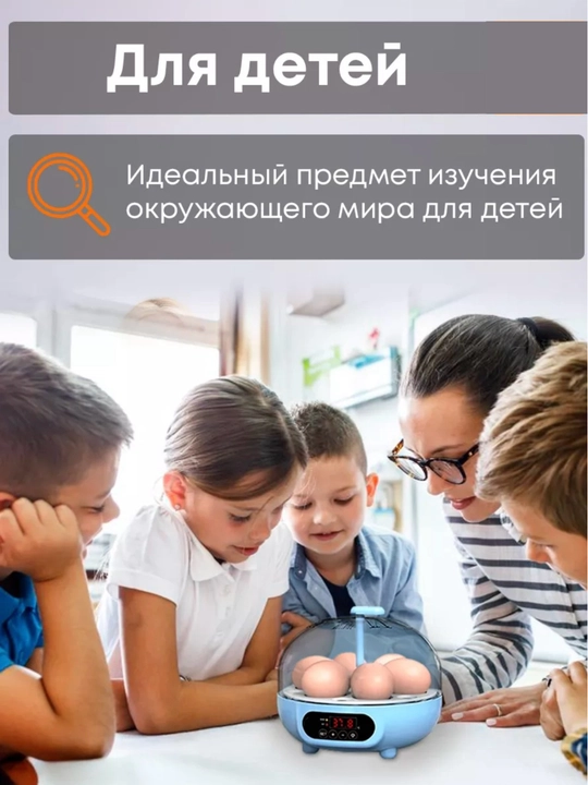 Инкубатор для 6 яиц автоматический , работает от  220В