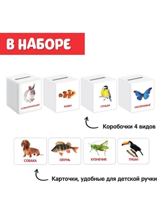 "Sorter-g'aladon" o'quv to'plami
