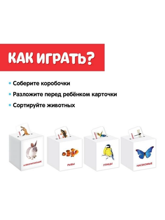 "Sorter-g'aladon" o'quv to'plami