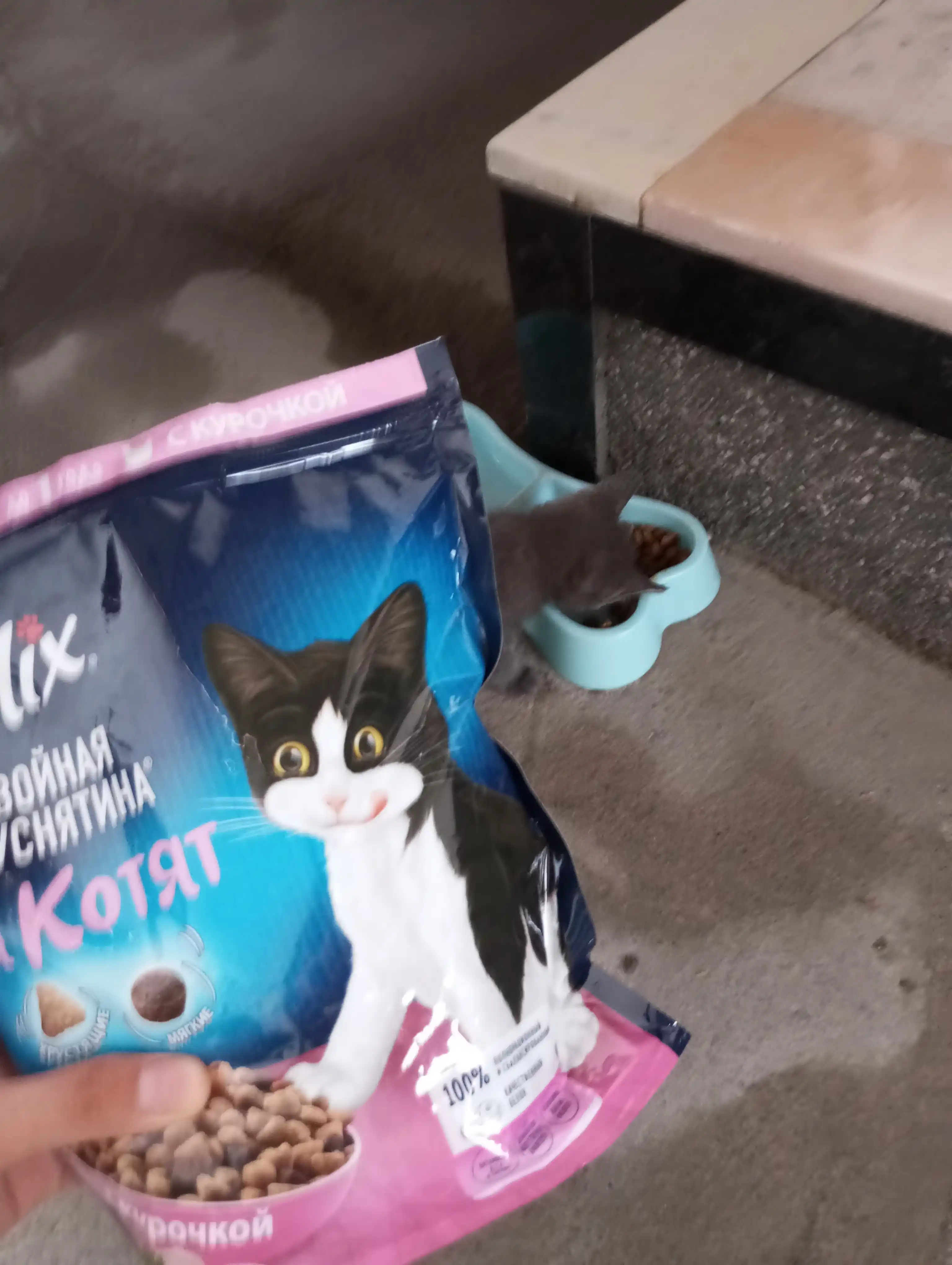 Felix mushukchalar uchun quruq ovqat, tovuq goshtli 600 gr