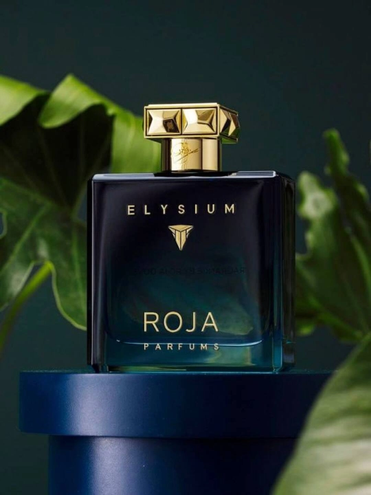 Erkaklar uchun odekolon Roja Elysium Cologne, 100 ml, Turkiya - 