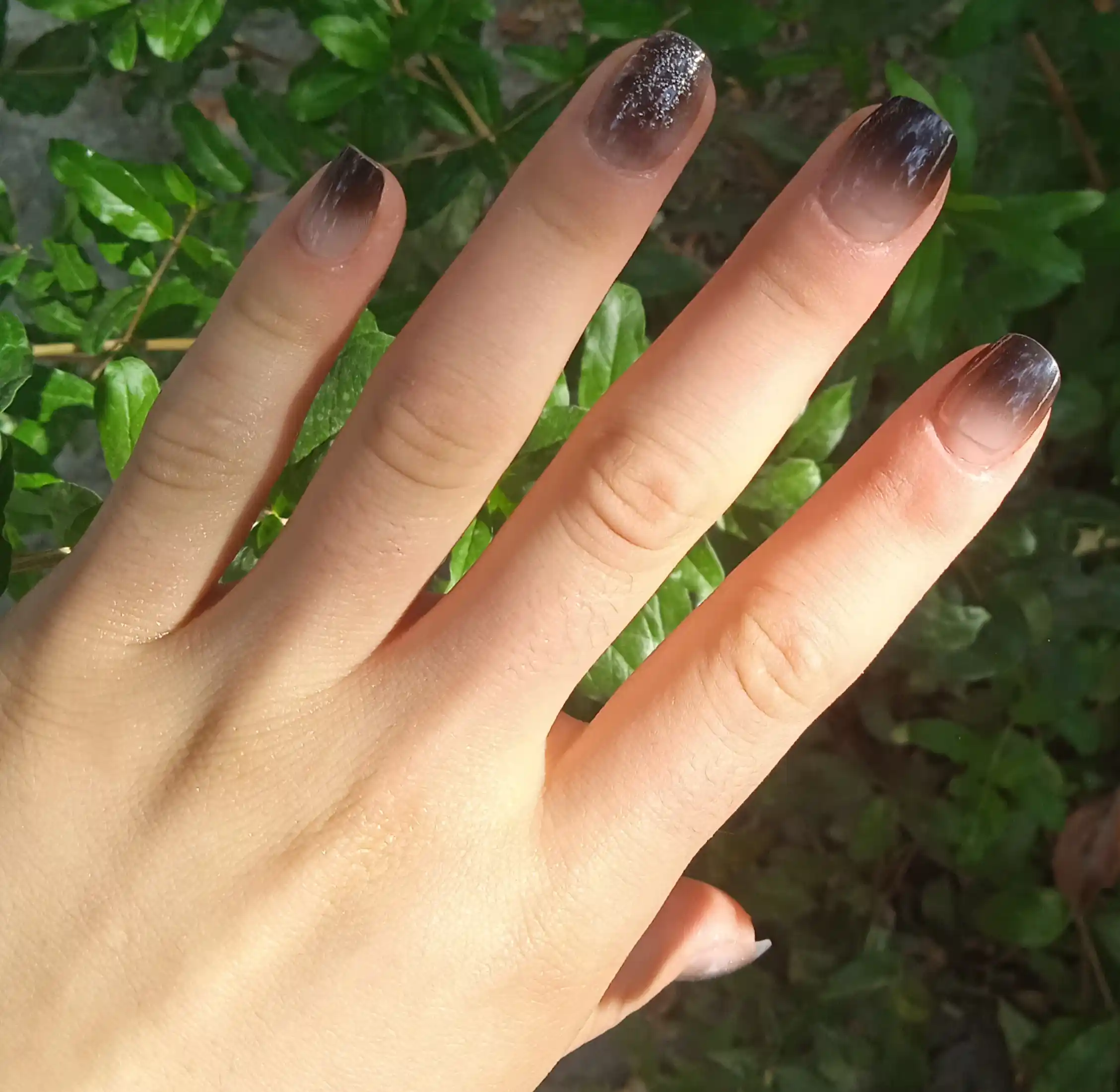 Qoplama tirnoqlar dizayni bilan, 24 dona, manikyur, french