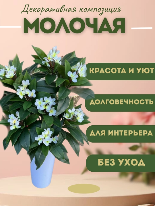 Molochaya dekorotiv kompozitsiyasi