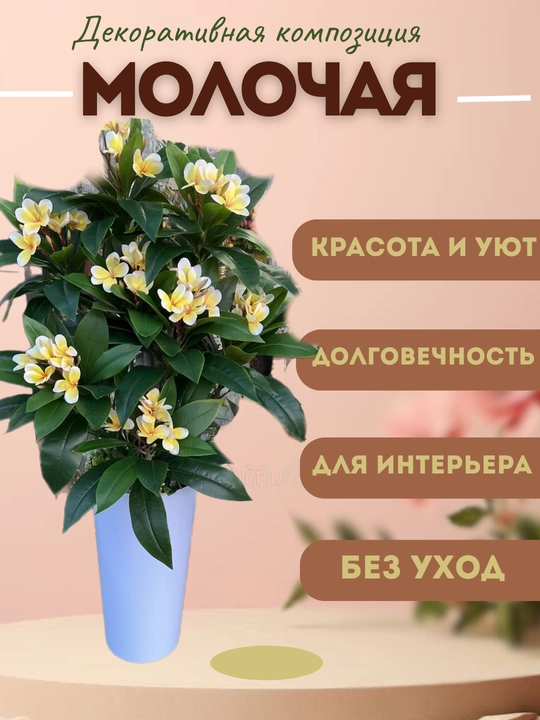 Molochaya dekorotiv kompozitsiyasi
