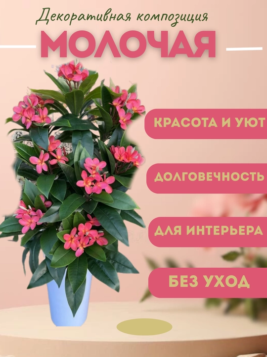 Molochaya dekorotiv kompozitsiyasi
