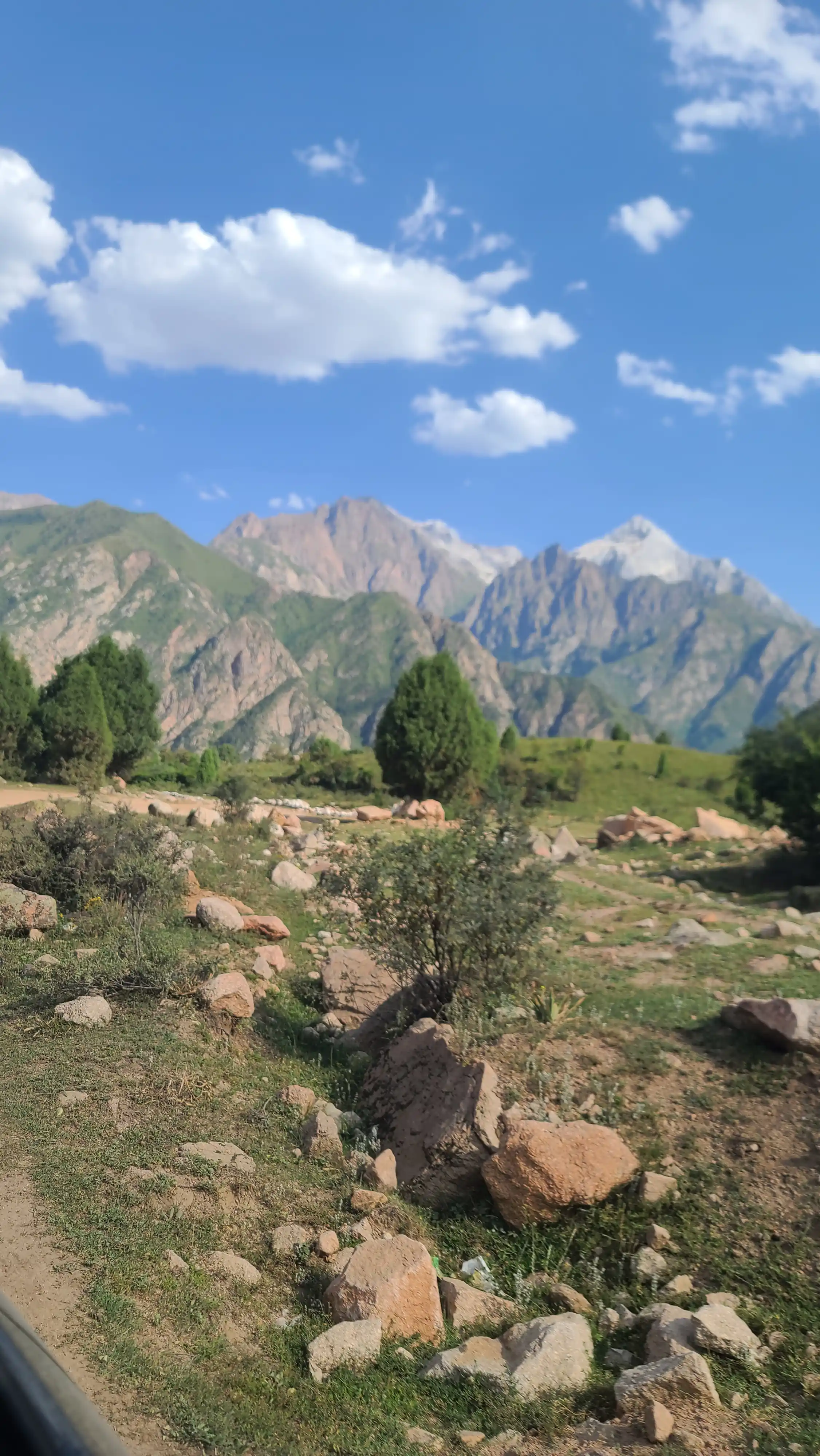 Kattalar uchun yuqori aniqlikdagi suzish ko'zoynaklari
