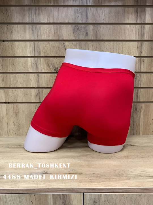 Erkaklar ichki kiyimi, BERRAK 4488 Soft 11
