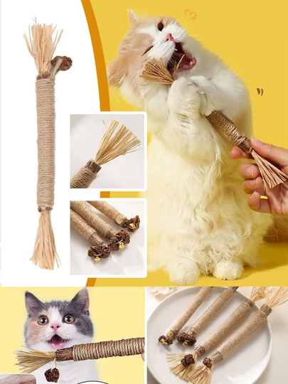 Qattiq jinsiy aloqa porno Mikaela Schaefer erotika