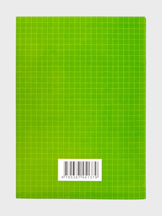 Moia rabochaia tetrad` 3-7 let Pervaia matematika, Propis` Kalligraficheskaia