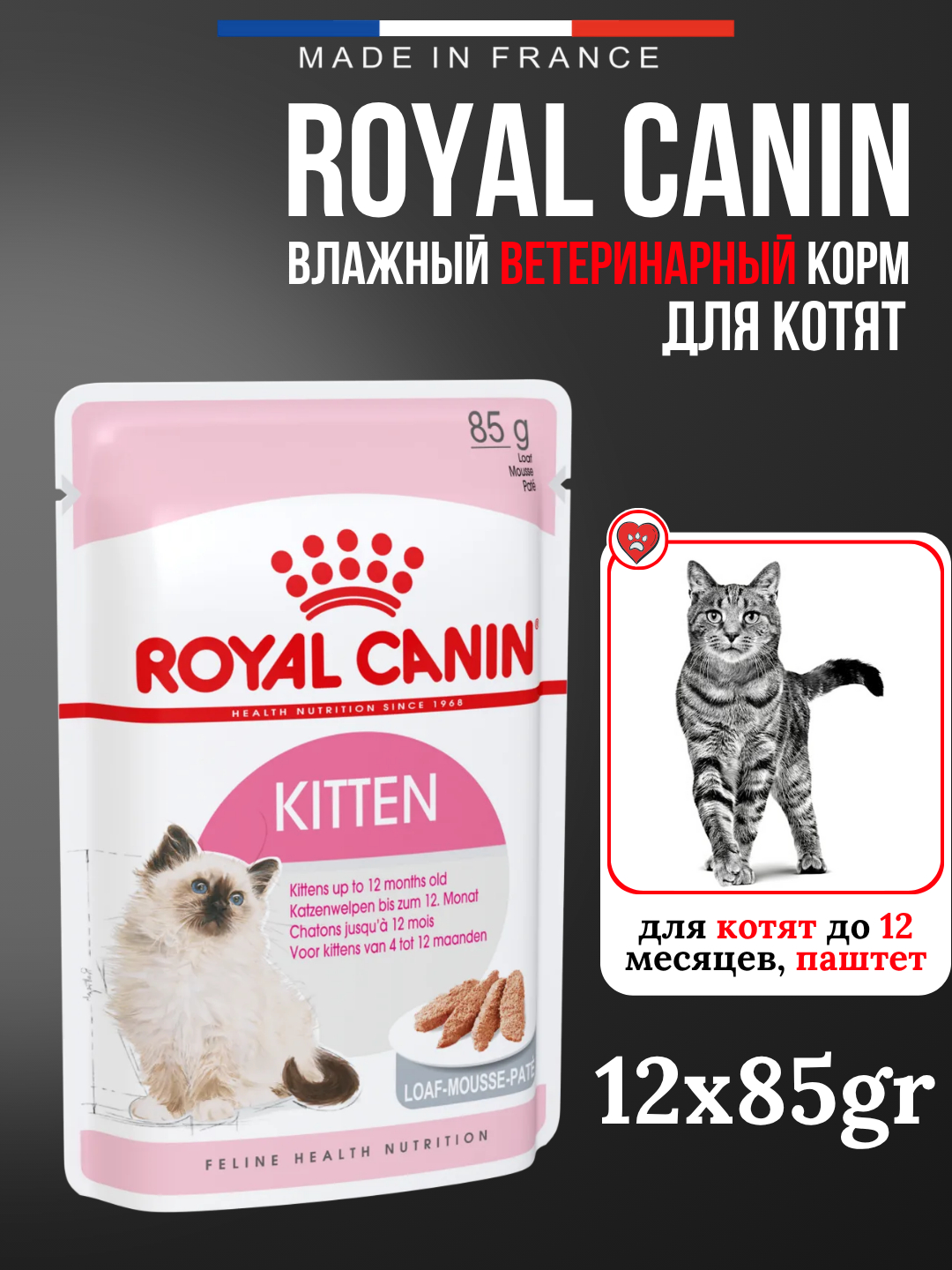 Nam quruq mushukchalar Nam quruq mushukchalar