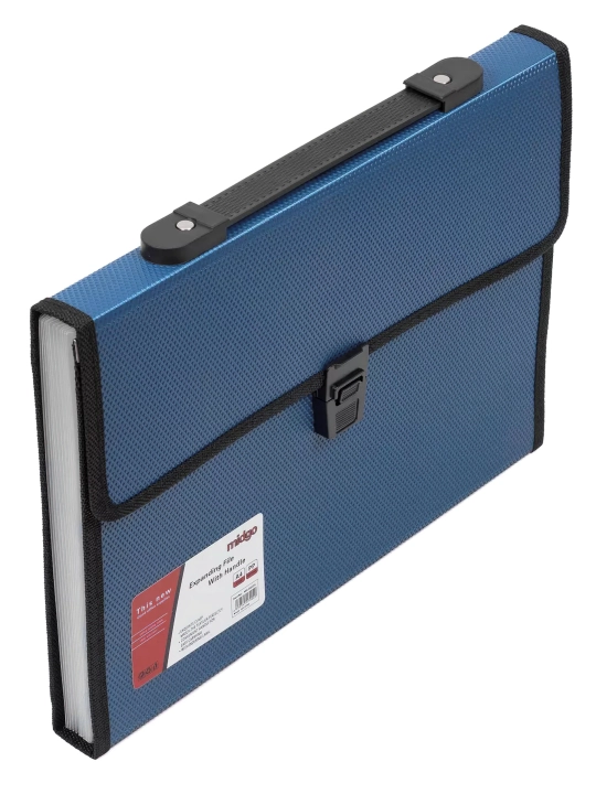 Hujjatlar portfeli, A4, 12 ta bo'lim