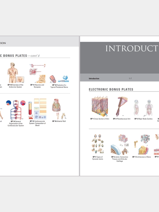 Tibbiyot kitobi, odam anatomiyasi atlasi, ATLAS OF HUMAN ANATOMY, Frank Netter