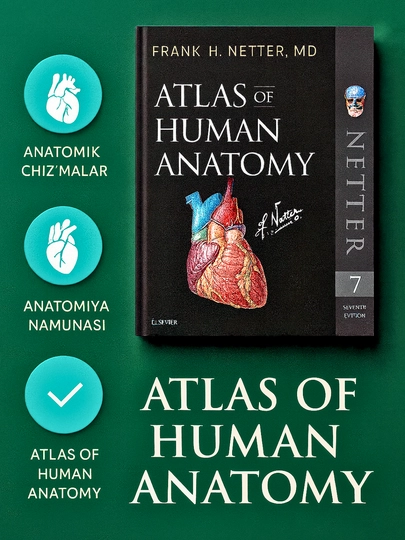 Книга медицины, Атлас анатомии человека, ATLAS OF HUMAN ANATOMY, Франк Неттер - 