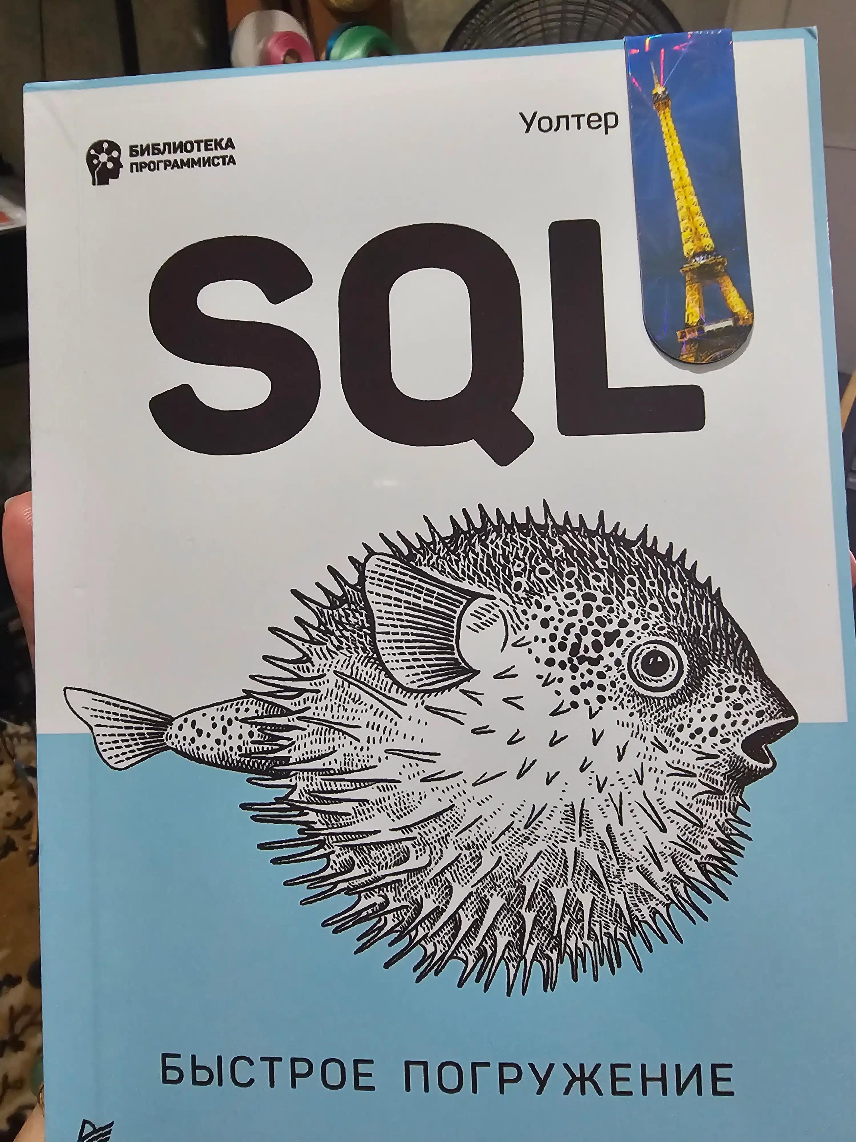 Книга, SQL, быстрое погружение, Шилдс У