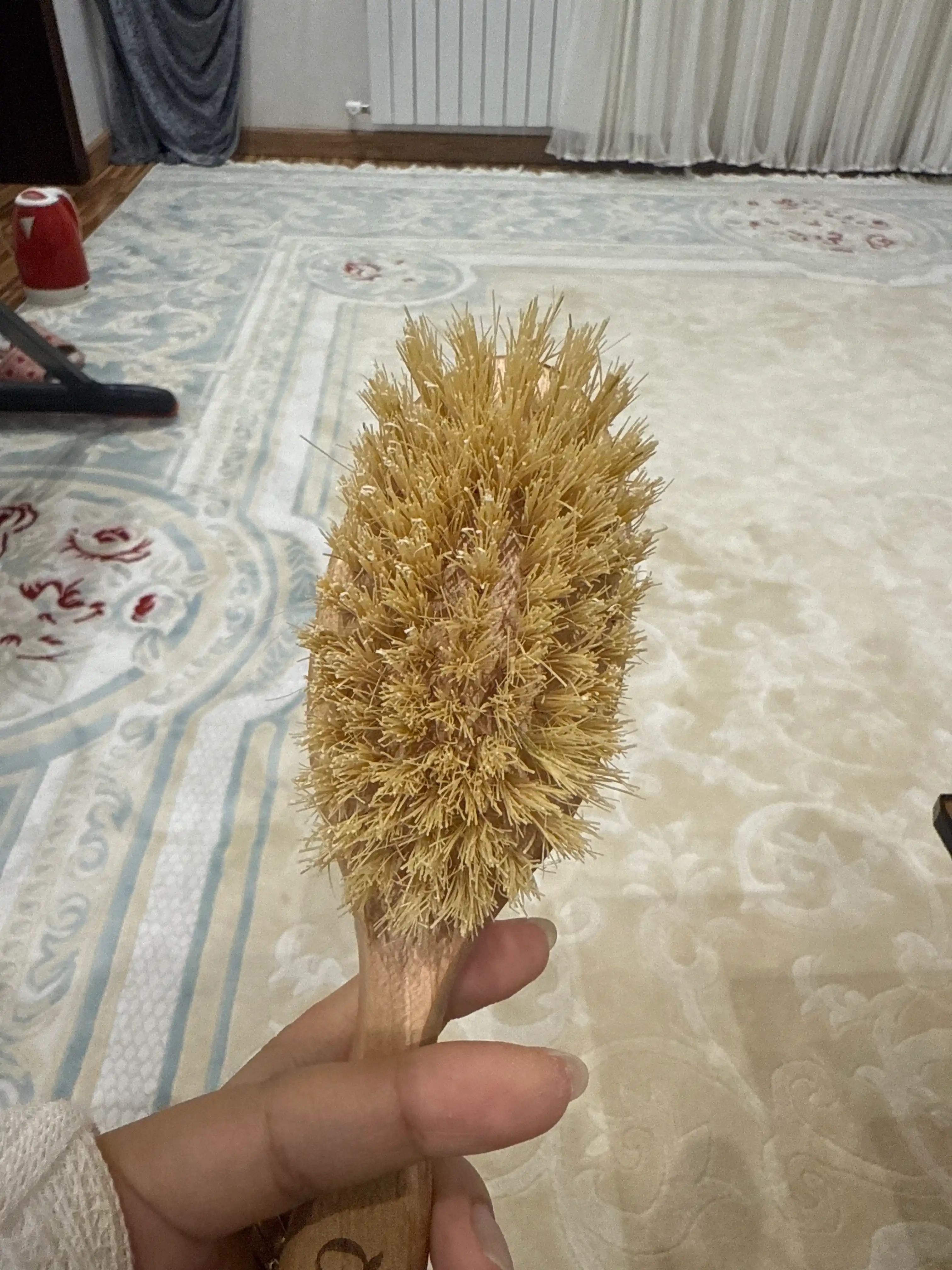 Tanani massaj qilish uchun tabiiy kaktus tukli antitsellyulit cho‘tka BeautiQ