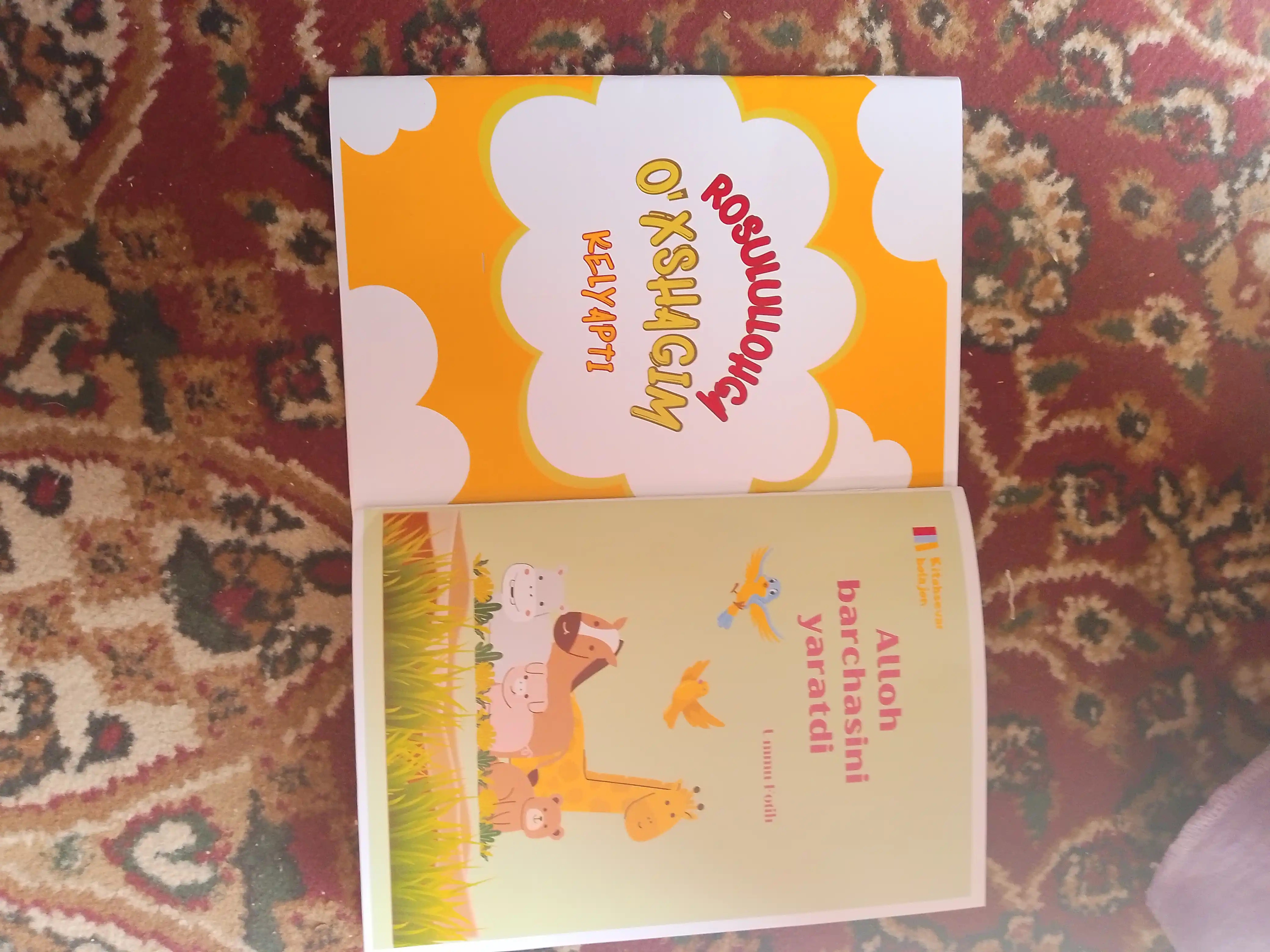 Короткие интересные книги для детей, Умм Фатих