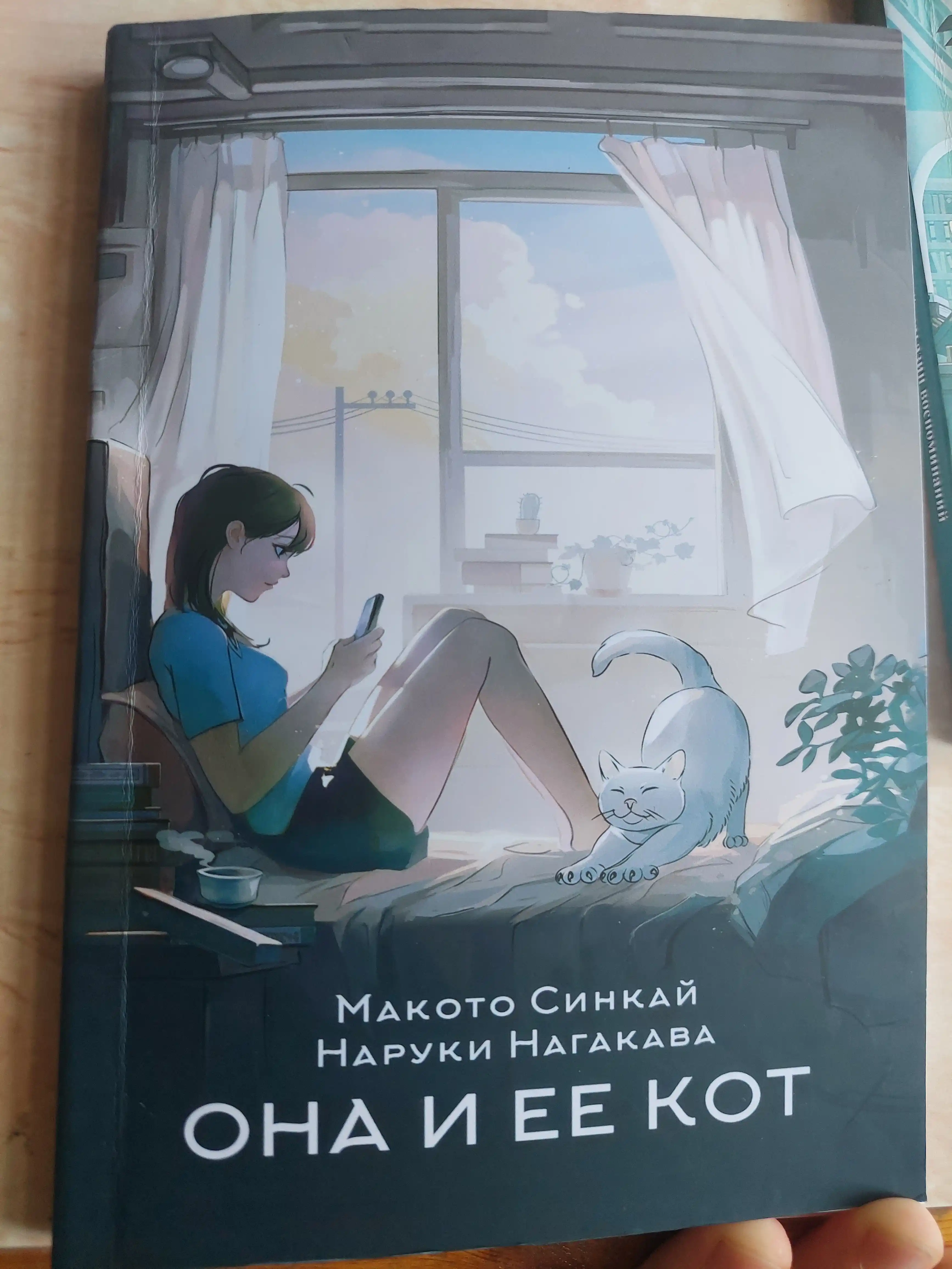 U va uning mushugi Sinkay Makoto