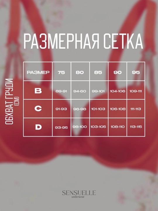 Ayollar ichki kiyimlari to‘plami, to‘r, siynaband va ichki kiyim, Push-up B va C chashka