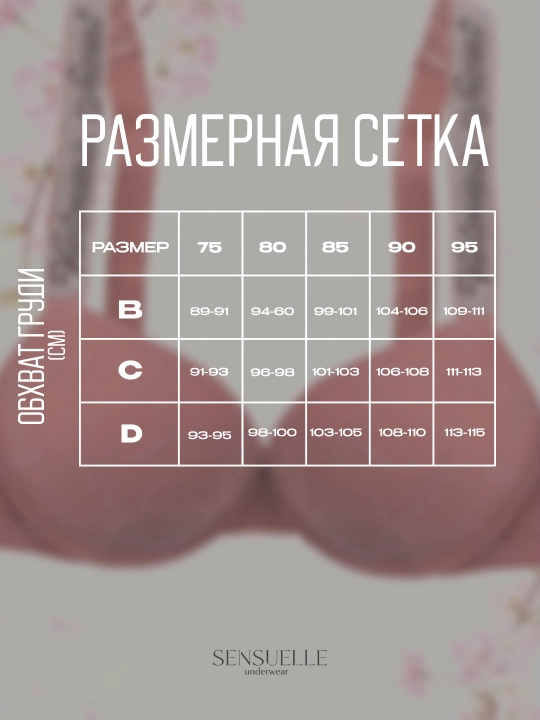 Ayollar ichki kiyimlari to‘plami, to‘r, byustgalter va trusik, Push-up B va C chashka