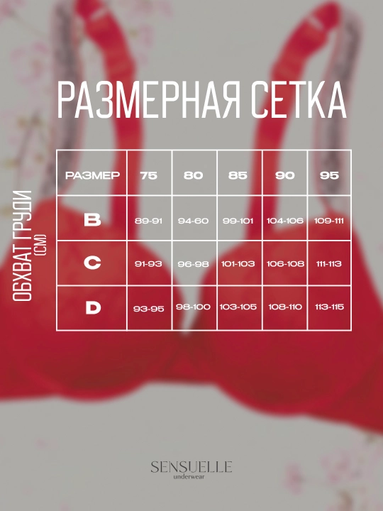 Ayollar ichki kiyimlari to‘plami, to‘r, byustgalter va trusik, Push-up B va C chashka