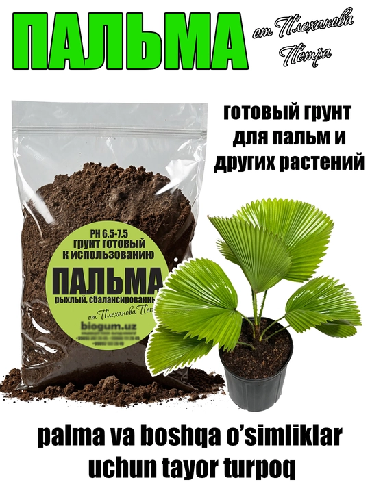 Грунт для пальмы готовый от Петра Плеханова