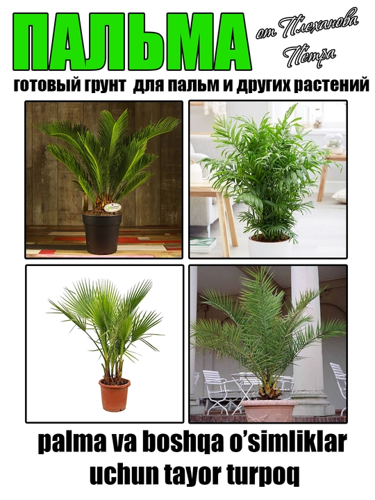 Грунт для пальмы готовый от Петра Плеханова