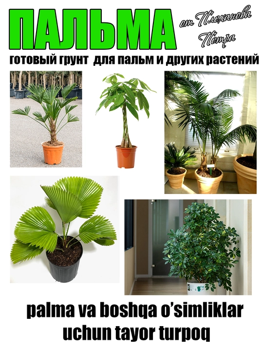Грунт для пальмы готовый от Петра Плеханова