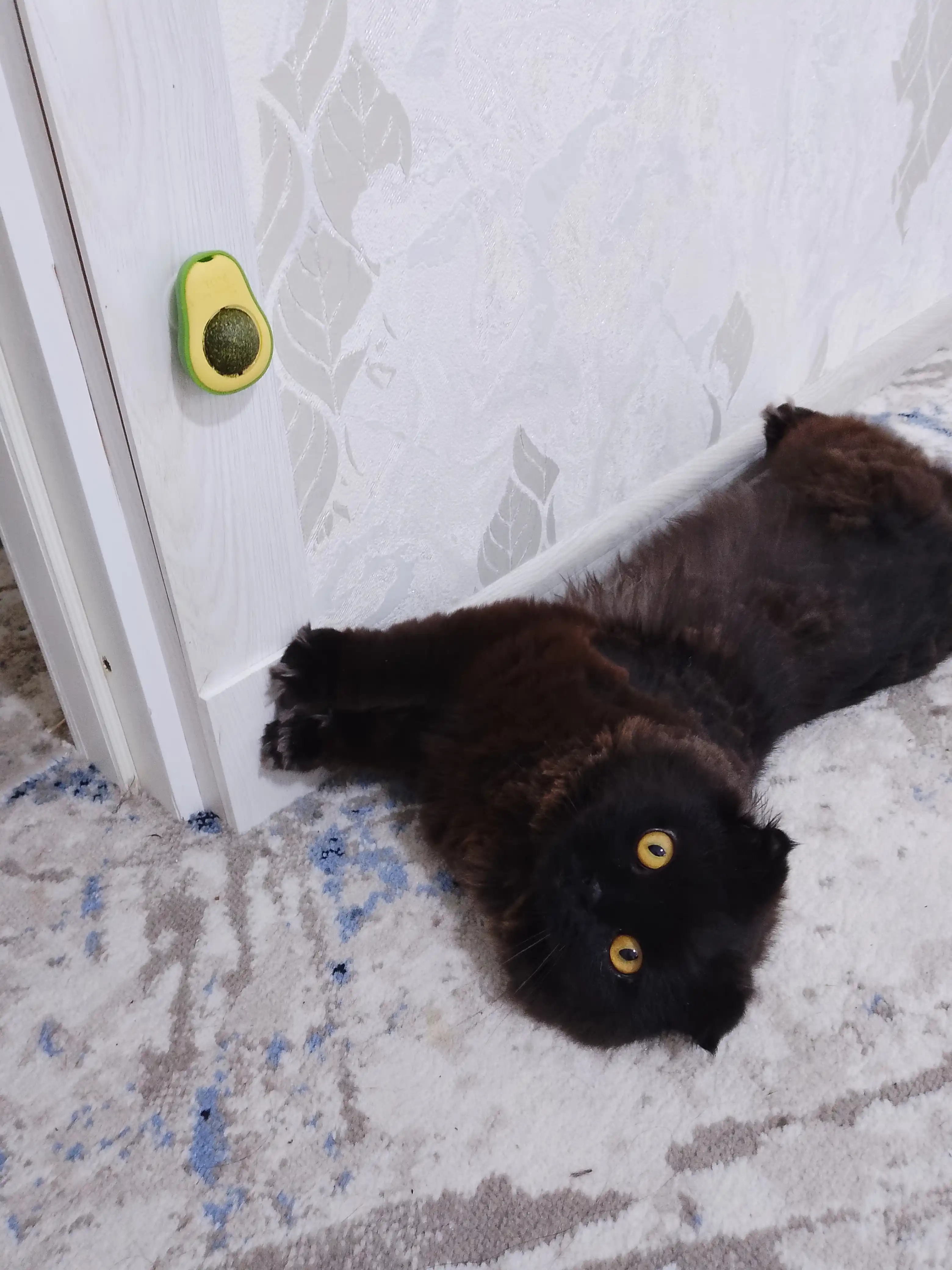 Шарик с кошачьей мятой на липучке, игрушка лизун для кошек