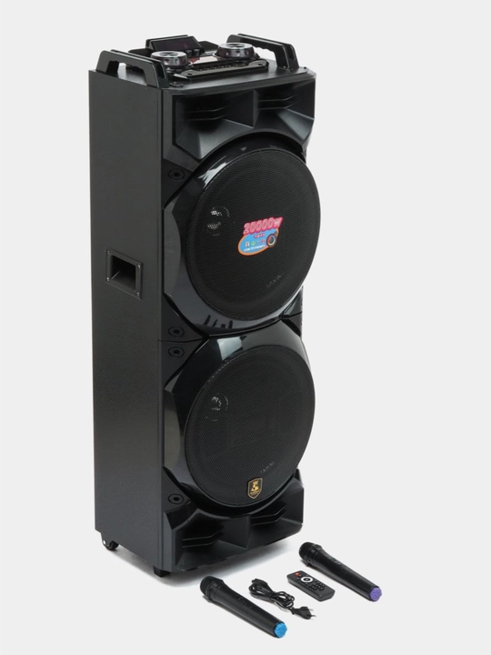 Большая акустическое система ZQS8213 с 2 караоке микрофоном и RGB подсветками - 