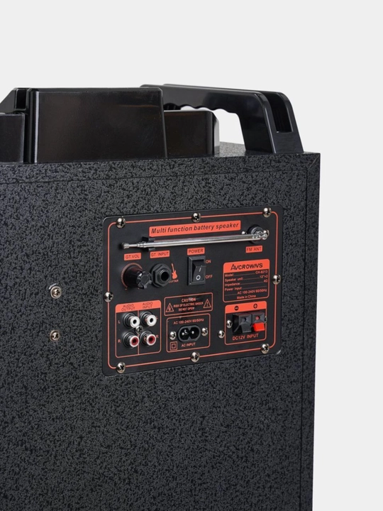 2 ta karaoke mikrofoni va RGB yoritgichlari bo‘lgan ZQS8213 katta akustik tizimi