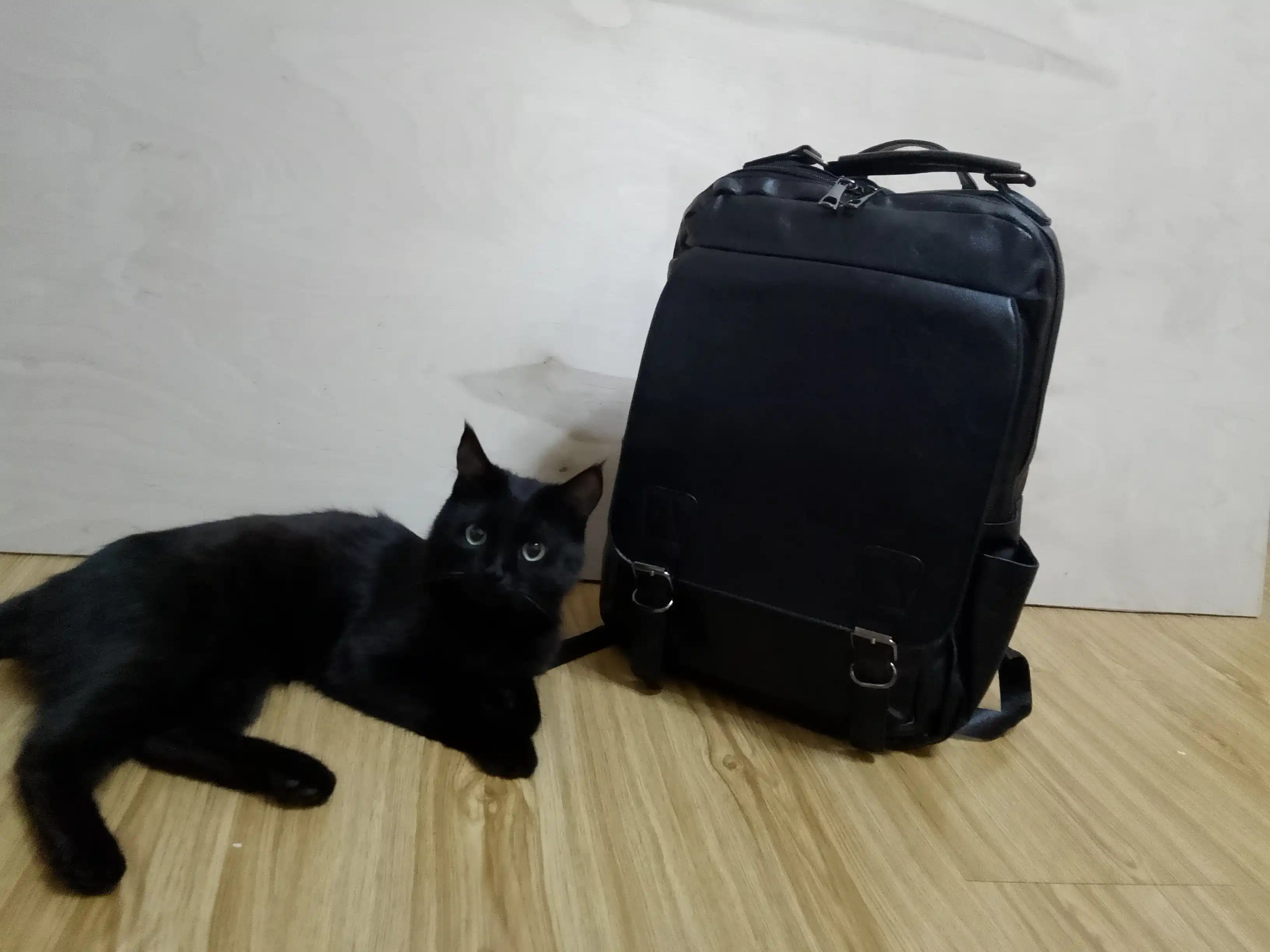 Erkaklar va ayollar uchun biznes ryukzak – USB portli, katta sig‘imli, zamonaviy dizayn