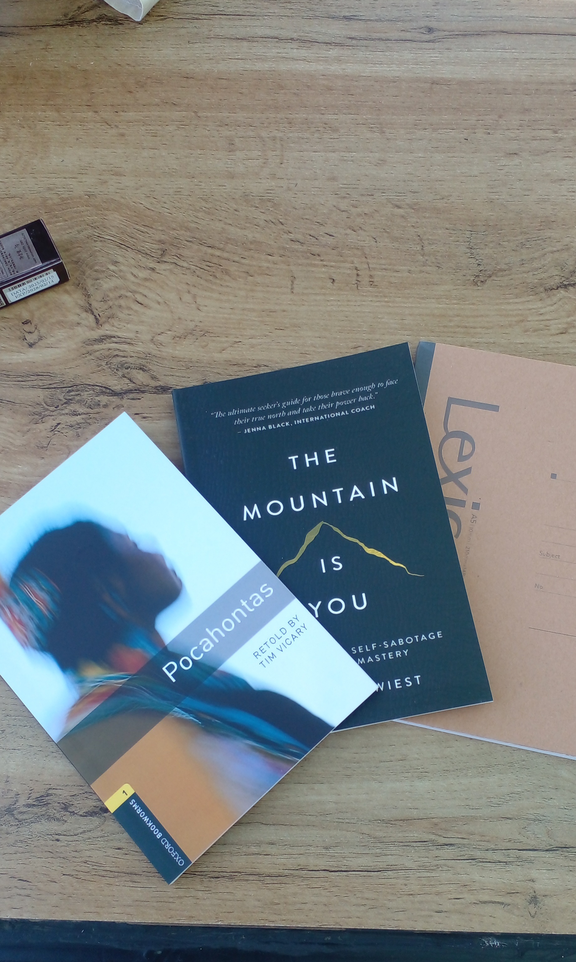 The Mountain is you - Brianna Wiest