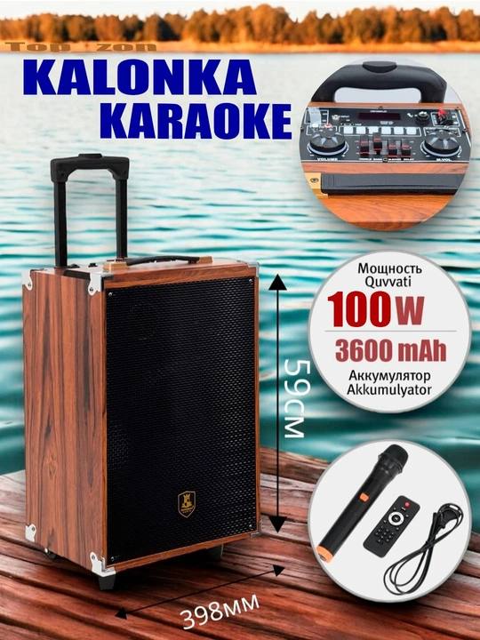 Портативная колонка B-Q12 караоке Bluetooth с микрофоном и пультом, беспроводная bq12 - 