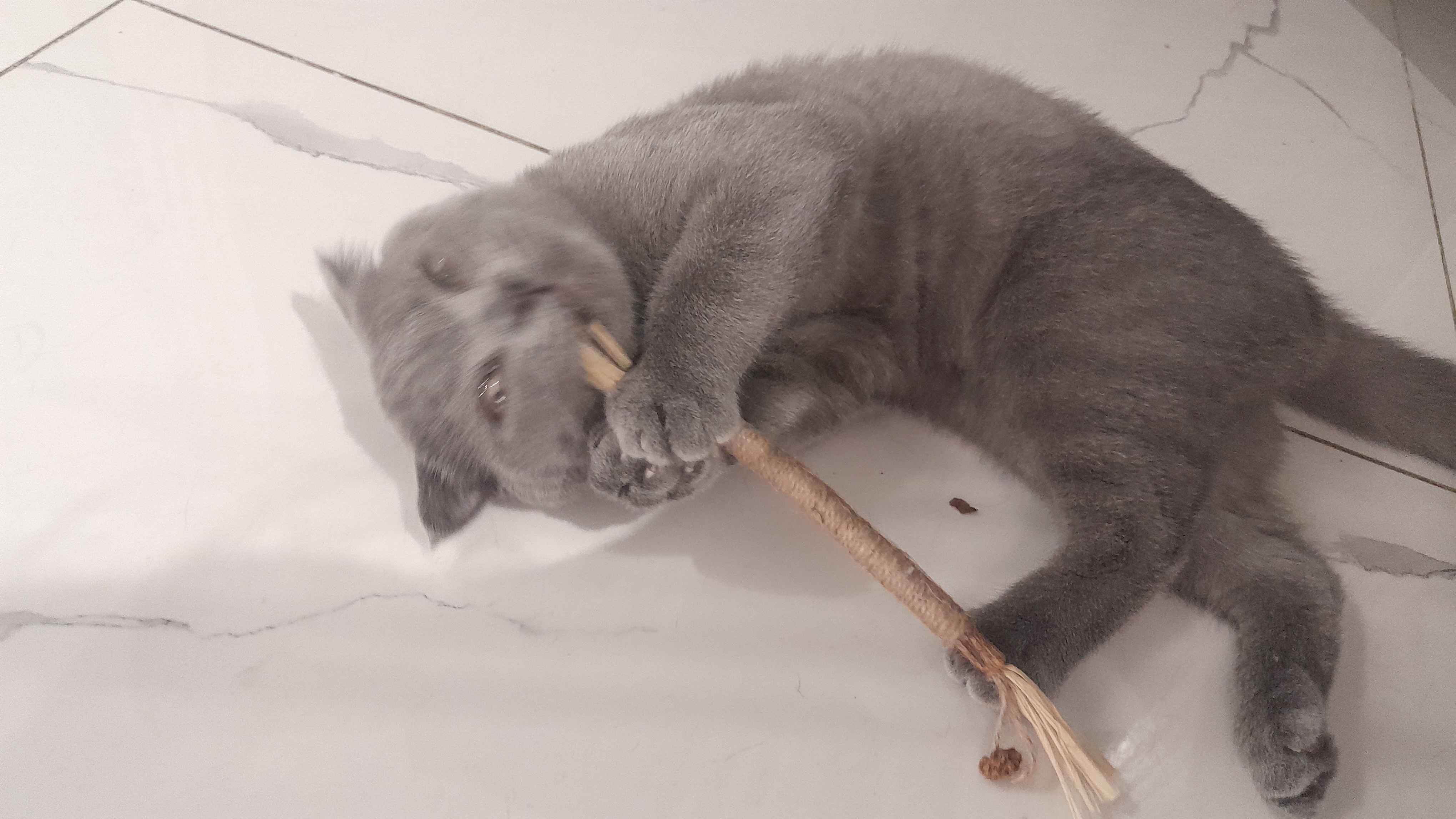 Crossdresser ogziga crossdresser sikiklari